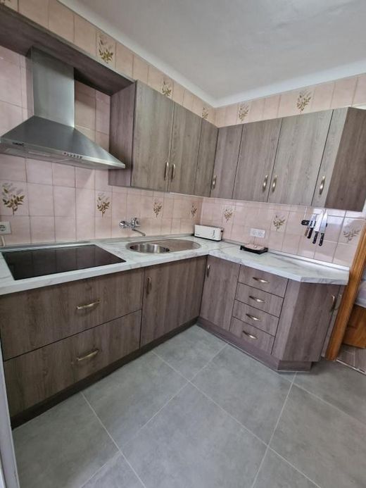 Cocina con placa y campana extractora