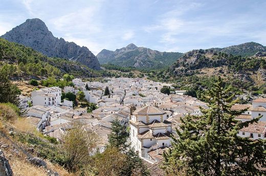 Vista de todo Grazalema desde lo alto, con las casas blancas entre la sierra