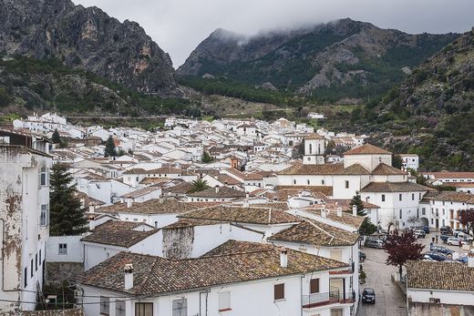 Grazalema desde fuera: casas blancas con tejados de teja bajo la sierra