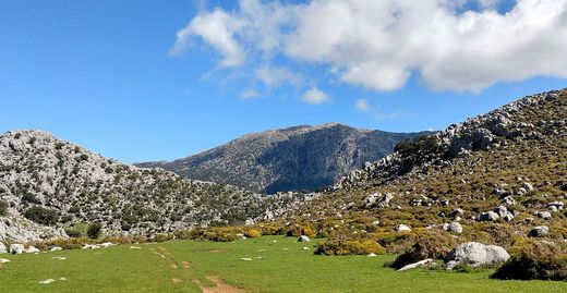 El pico Torreón y la Sierra del Pinar vistos desde un llano verde
